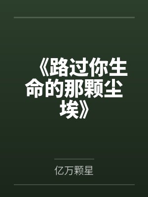 《路过你生命的那颗尘埃》