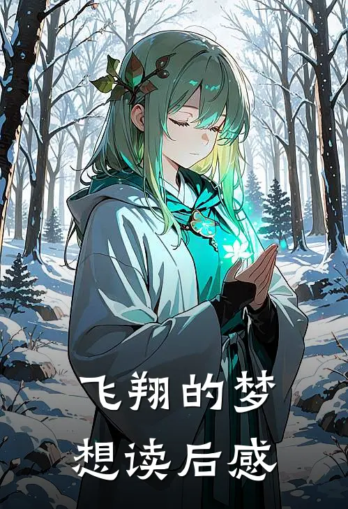 飞翔的梦想读后感