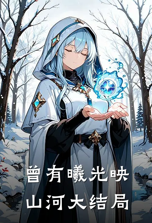 曾有曦光映山河大结局